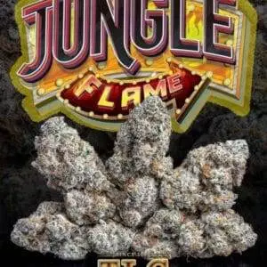 JUNGLE CAKE