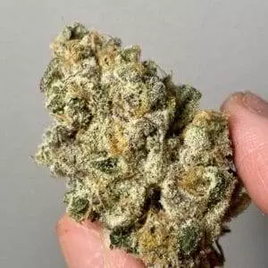 Wedding cake Gelato Strain