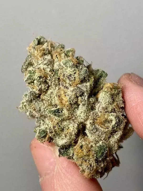 Wedding cake Gelato Strain