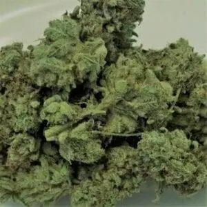 CHARLIE SHEEN OG