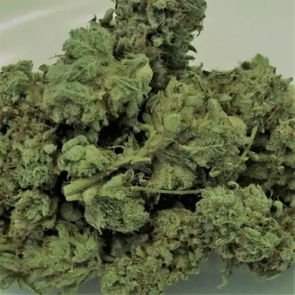 CHARLIE SHEEN OG