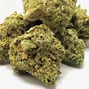 Jokerz strain
