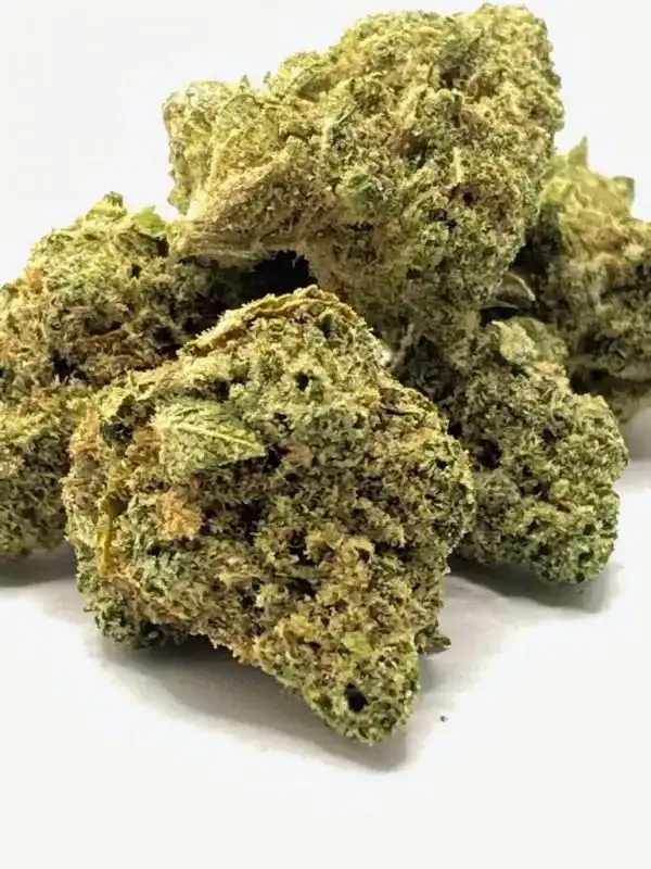 Jokerz strain