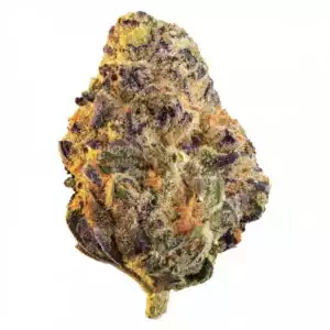 Black Cherry Punch Marijuana Strain
