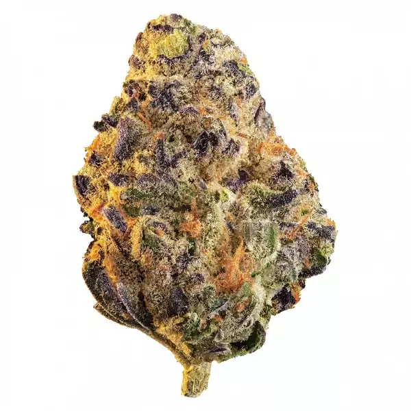 Black Cherry Punch Marijuana Strain