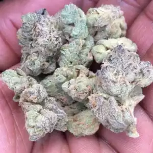 Miracle Alien Cookies (MAC)