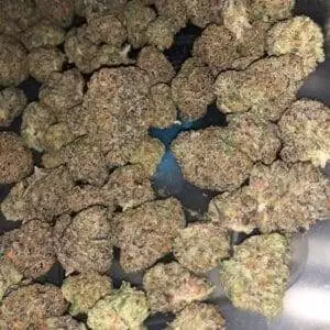 Black Truffle strain