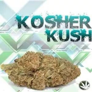 Kosher Cookies Strain