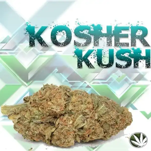 Kosher Cookies Strain