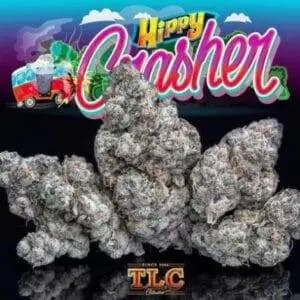 HIPPY CRASHER