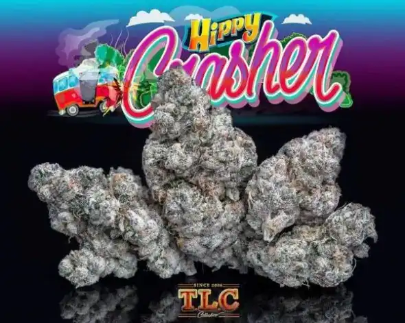 HIPPY CRASHER