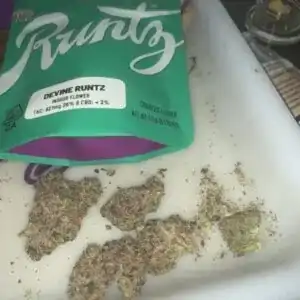 Devine Runtz strain