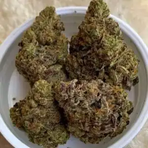 Dolce Gelato strain