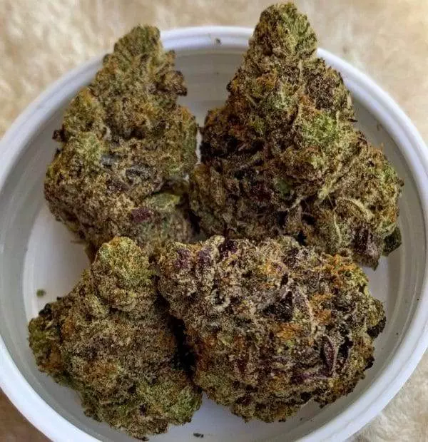 Dolce Gelato strain