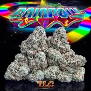 Rainbow belts strain