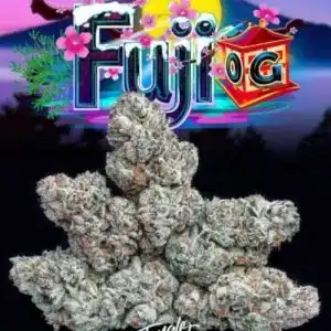 Fuji OG Strain