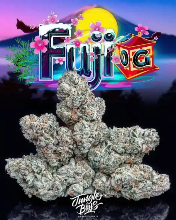 Fuji OG Strain