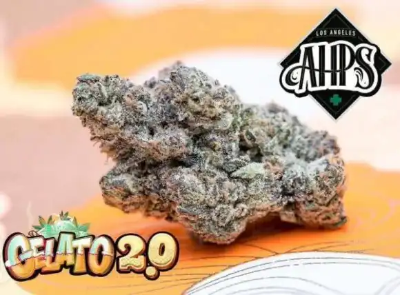 GELATO 2.0