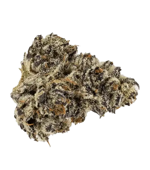 White Truffle strain