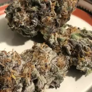 Garlic Breath Strain