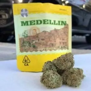 Medellin Strain