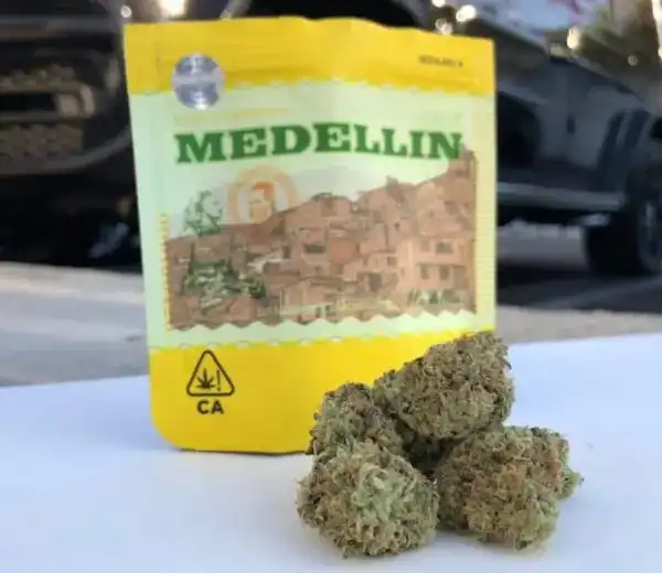 Medellin Strain