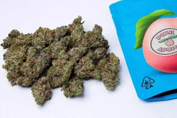 Pink Apricot Strain