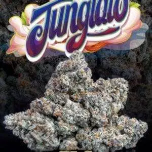 Junglato Jungle boys
