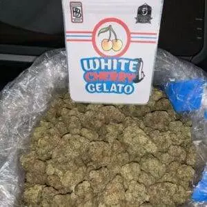 White Cherry Gelato