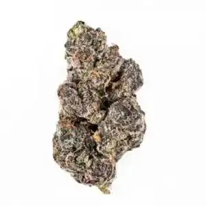 Buy Black Zourz Runtz