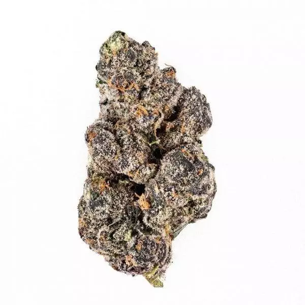 Buy Black Zourz Runtz