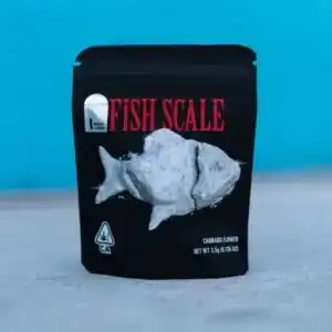Fish Scale Marijuana Strain
