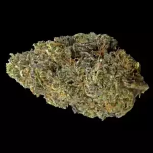 Cookies Bernie Hana Butter Strain