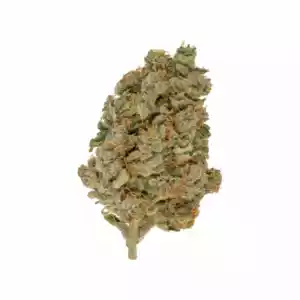 Glueberry Strain