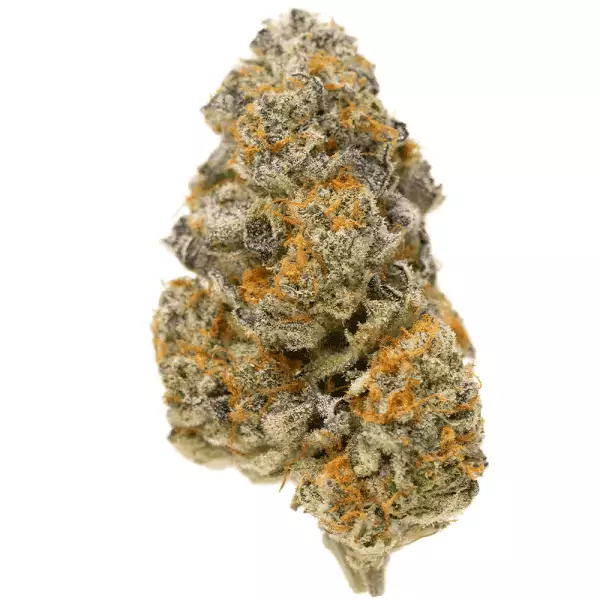 Orangeade Strain
