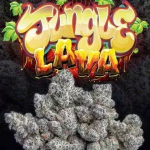 LAVA CAKE JUNGLE BOYS