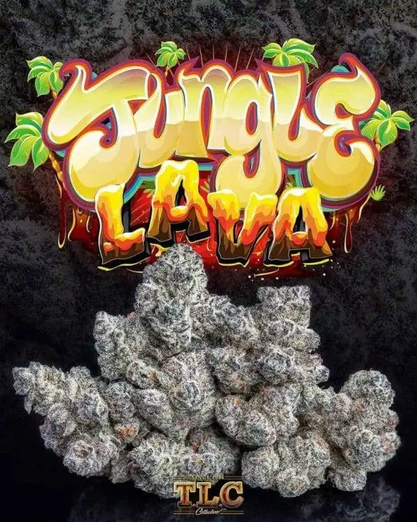 LAVA CAKE JUNGLE BOYS