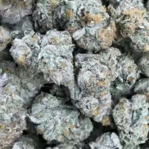Tequila Sunrise Marijuana Strain