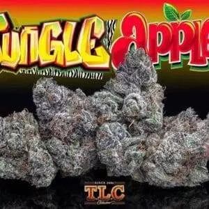 JUNGLE APPLES STRAIN